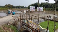 Pj Bupati Kampar Komitmen Terhadap Pertanian dan Tanggapi Keluhan Petani